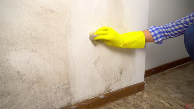 Best Black Mold Removal  in Coldspring, TX