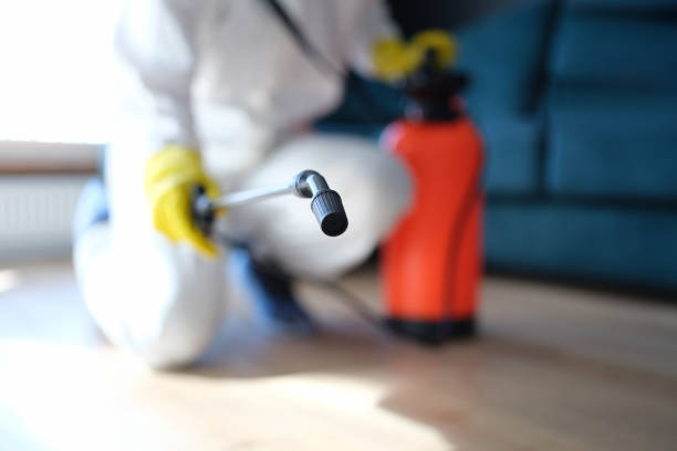 Best Post-Remediation Verification Testing  in Coldspring, TX